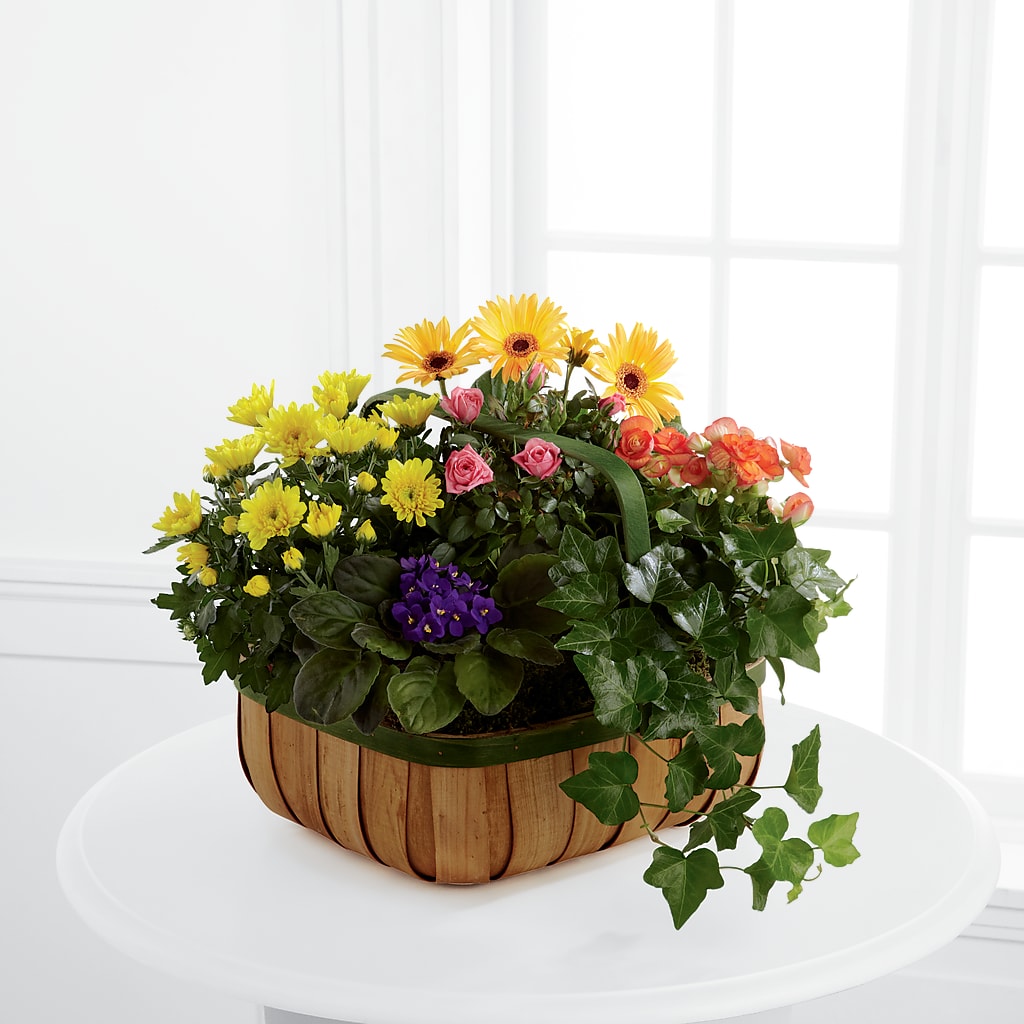 Gentle Blossoms Basket – Albertsons, Pleasanton CA