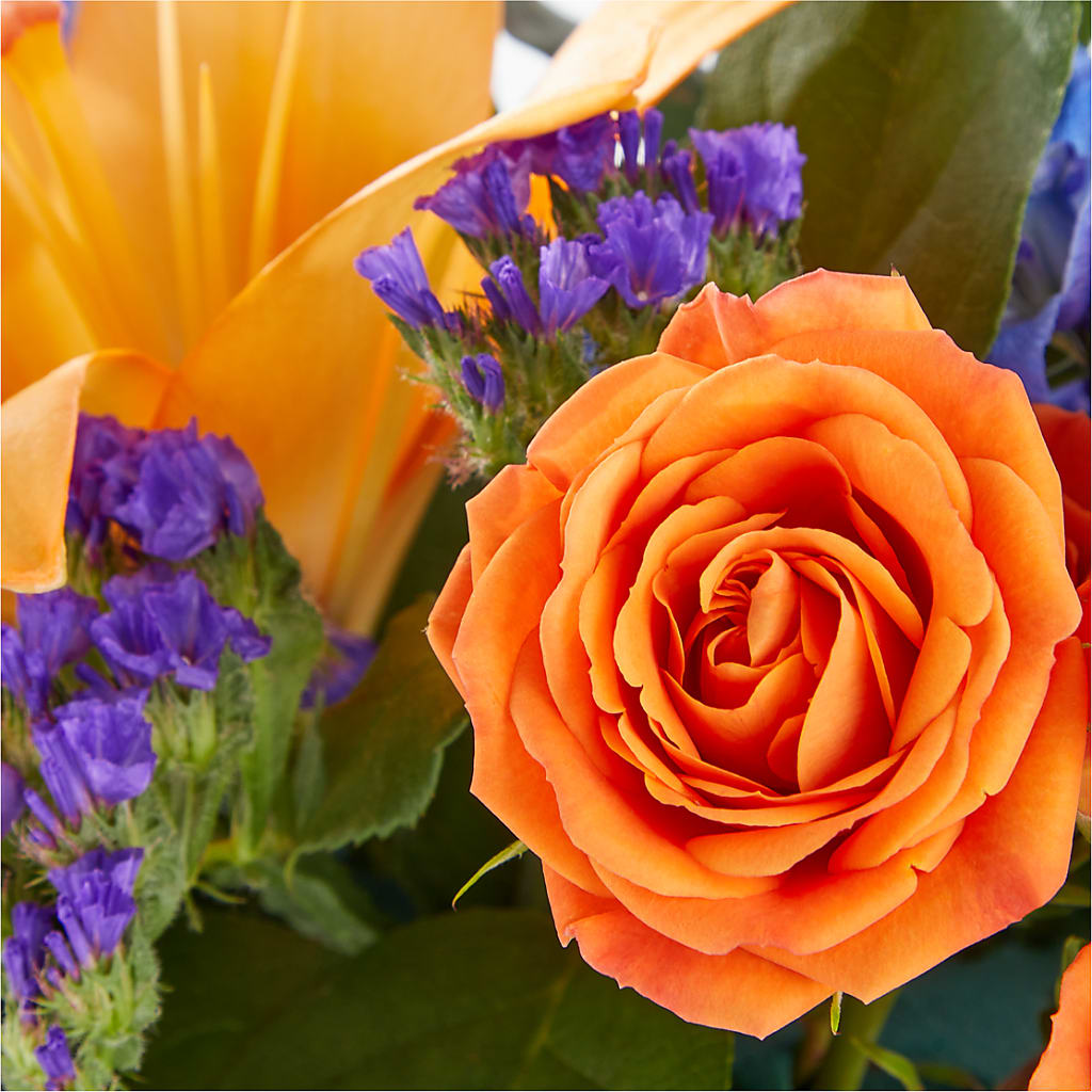 Radiant Citrus Box Bouquet – Albertsons, Pleasanton CA