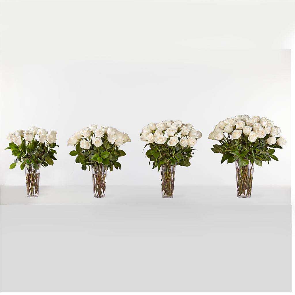 Long Stem White Rose Bouquet – Albertsons, Pleasanton CA