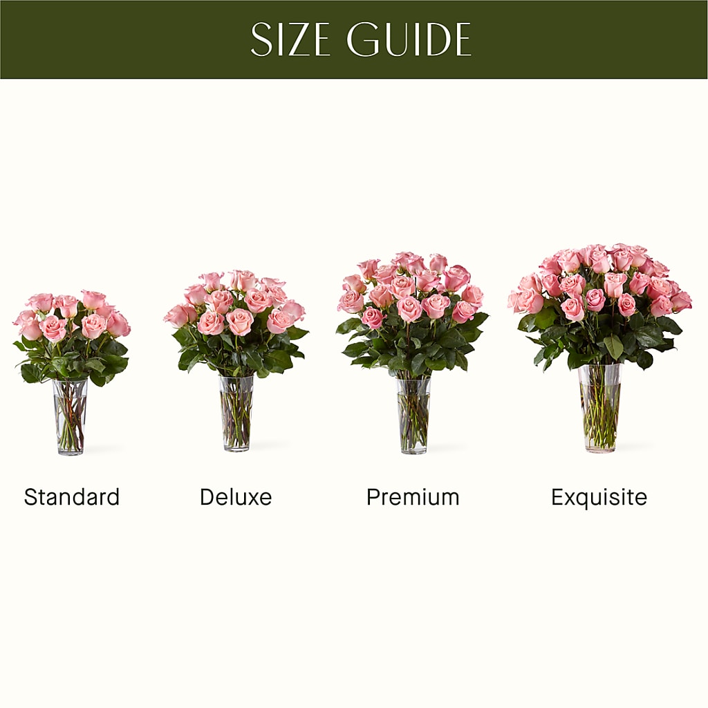 Long Stem Pink Rose Bouquet – Albertsons, Pleasanton CA