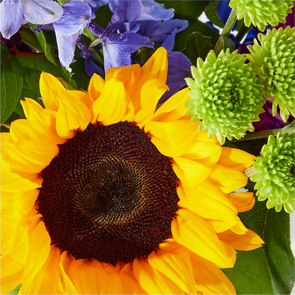Catching Rays Bouquet – Albertsons, Pleasanton CA