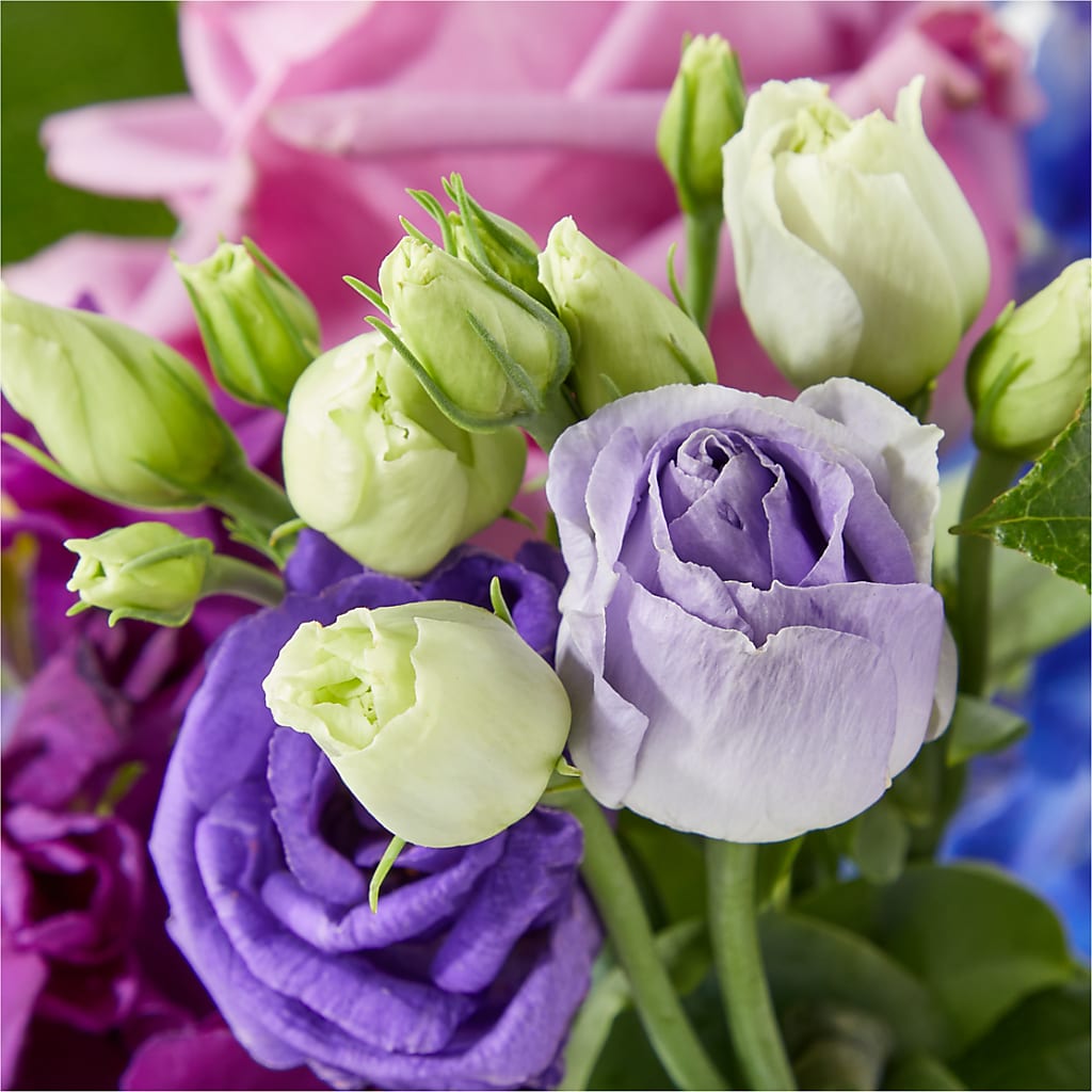 Twilight Glow Bouquet – Albertsons, Pleasanton CA