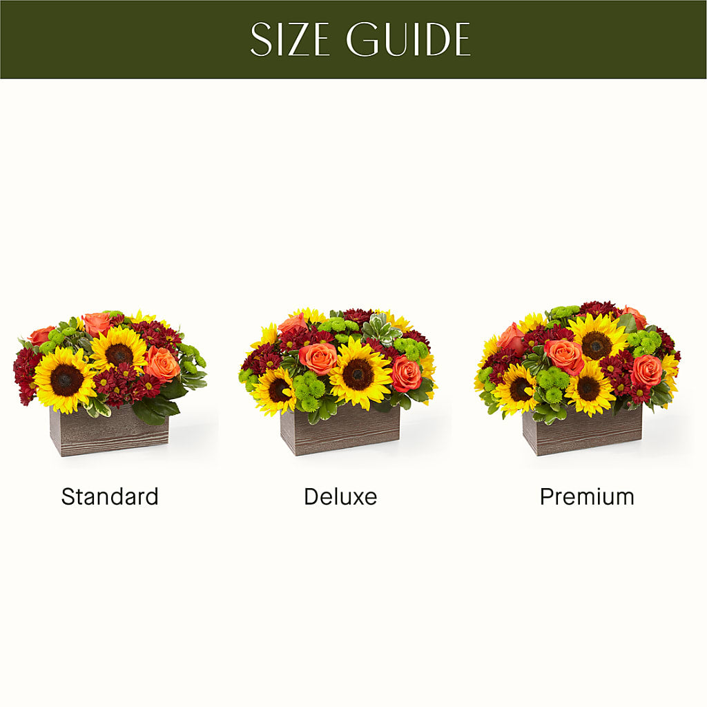 Happy Harvest Garden – Albertsons, Pleasanton CA