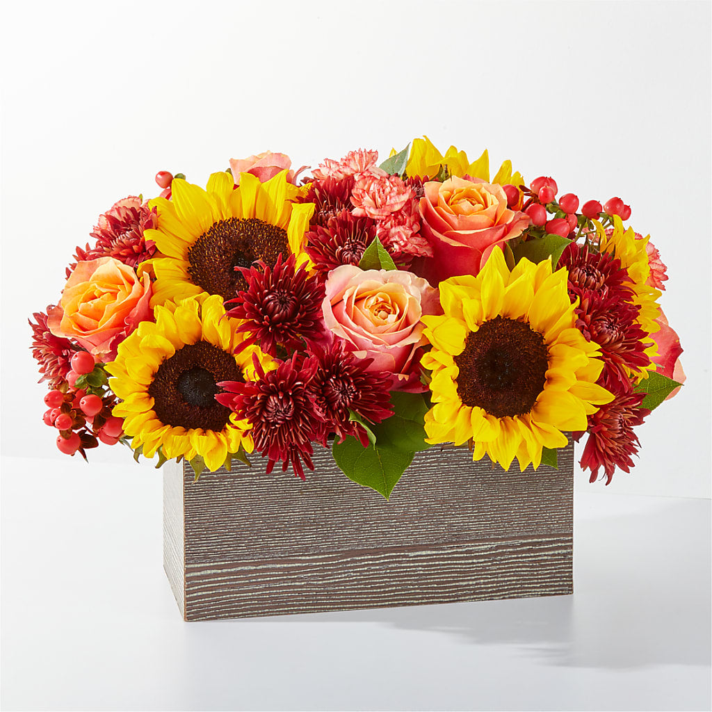 Fresh Cider Bouquet – Albertsons, Pleasanton CA