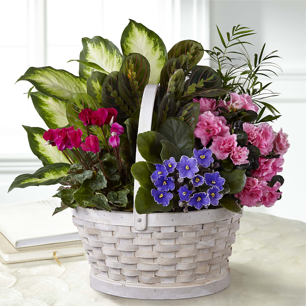 Peaceful Garden Planter – Albertsons, Pleasanton CA