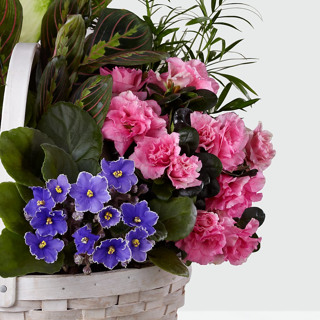 Peaceful Garden Planter – Albertsons, Pleasanton CA