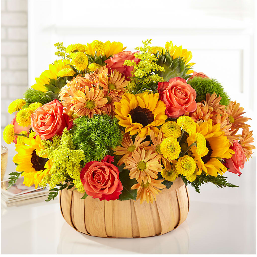 Harvest Sunflower Basket – Albertsons, Pleasanton CA