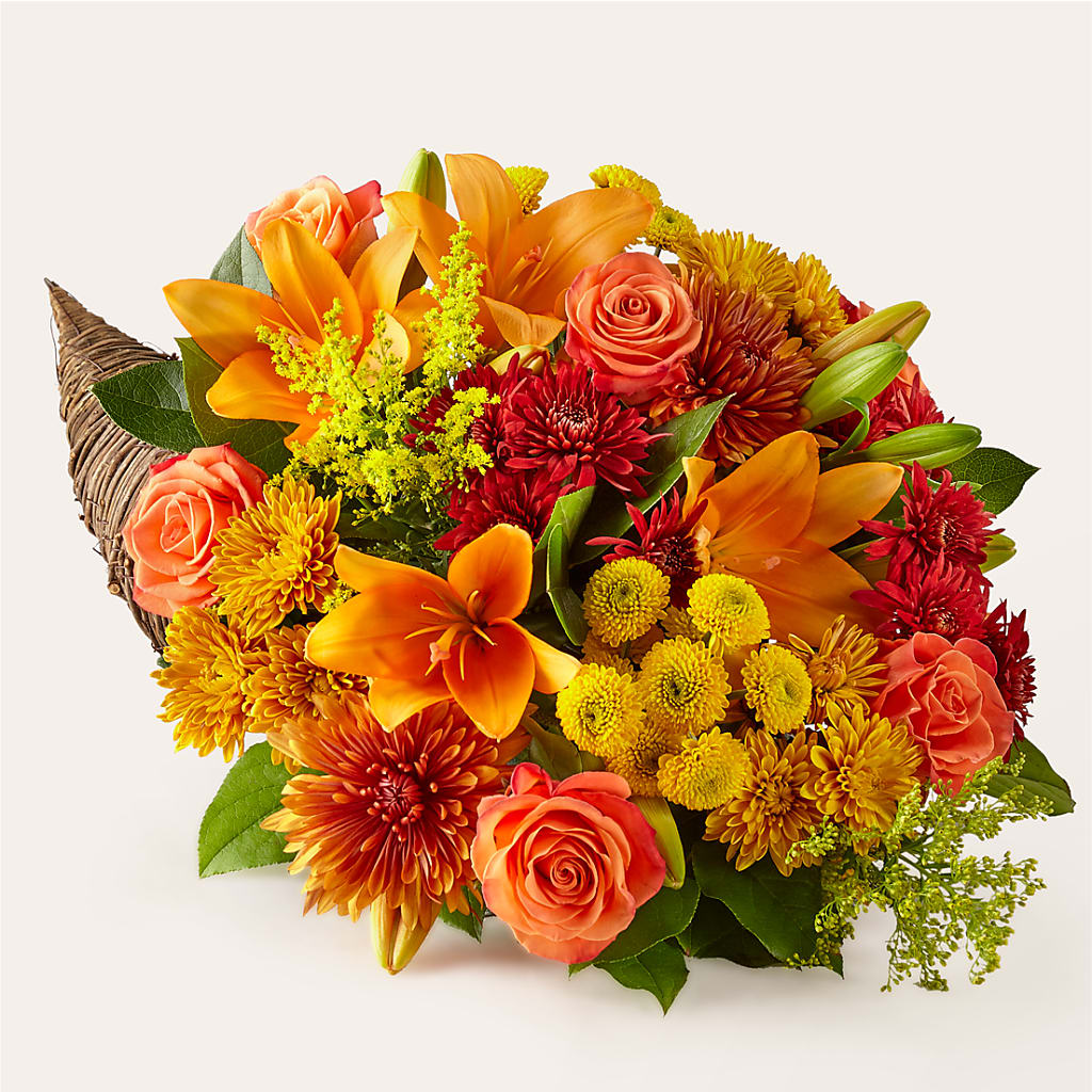 Feast of Color Cornucopia – Albertsons, Pleasanton CA