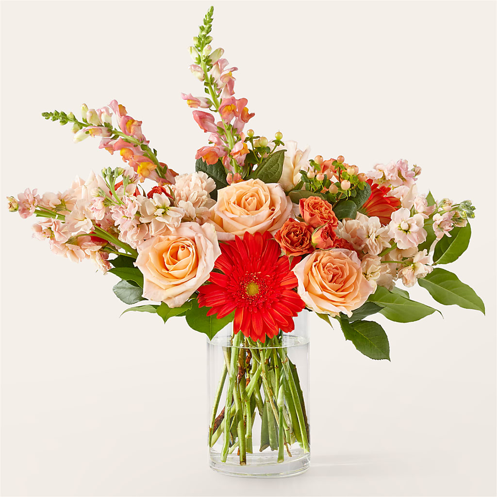 Paloma Please Bouquet – Albertsons, Pleasanton CA