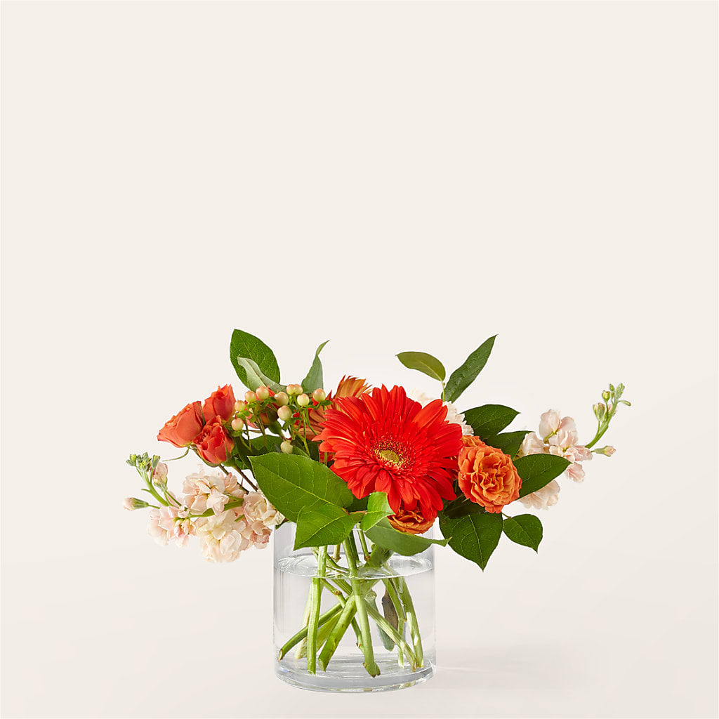 Paloma Please Bouquet – Albertsons, Pleasanton CA