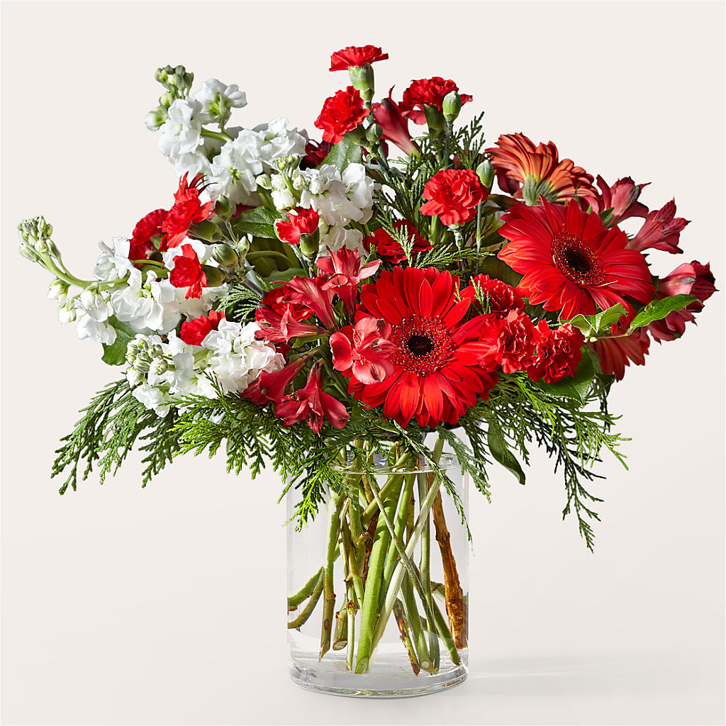 Holidaisy Bouquet – Albertsons, Pleasanton CA