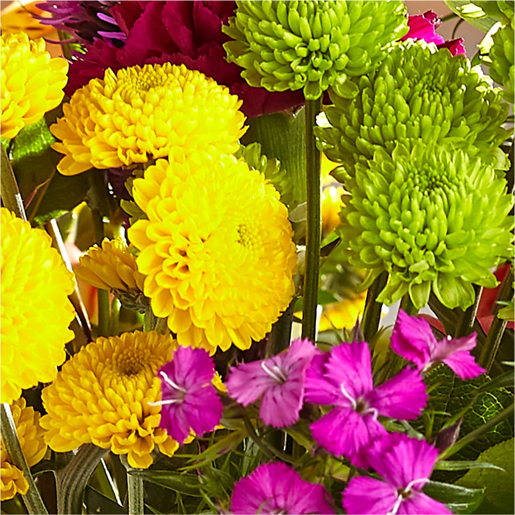 Bold & Bright – A Florist Original –  Albertsons, Pleasanton CA