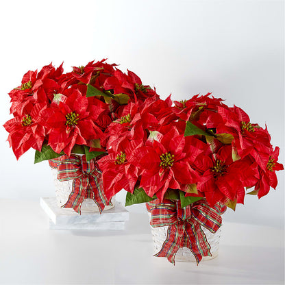Happiest Holidays Poinsettia Bundle –  Albertsons, Pleasanton CA