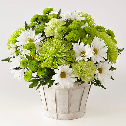 Lucky Charm Basket (Standard) –  Albertsons, Pleasanton CA