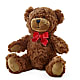 Adorable Plush Bear –  Albertsons, Pleasanton CA