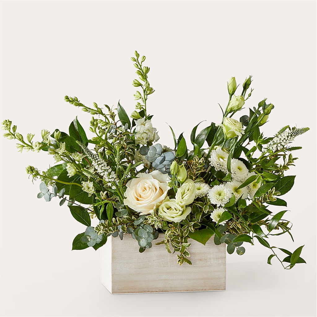 Cashmere Bouquet –  Albertsons, Pleasanton CA