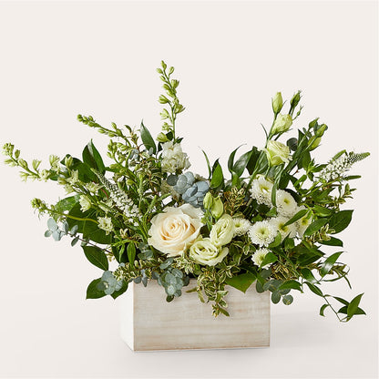 Cashmere Bouquet –  Albertsons, Pleasanton CA