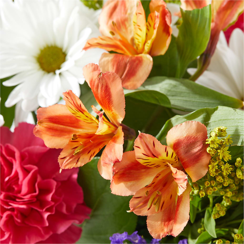 Oopsie Daisy Box Bouquet –  Albertsons, Pleasanton CA