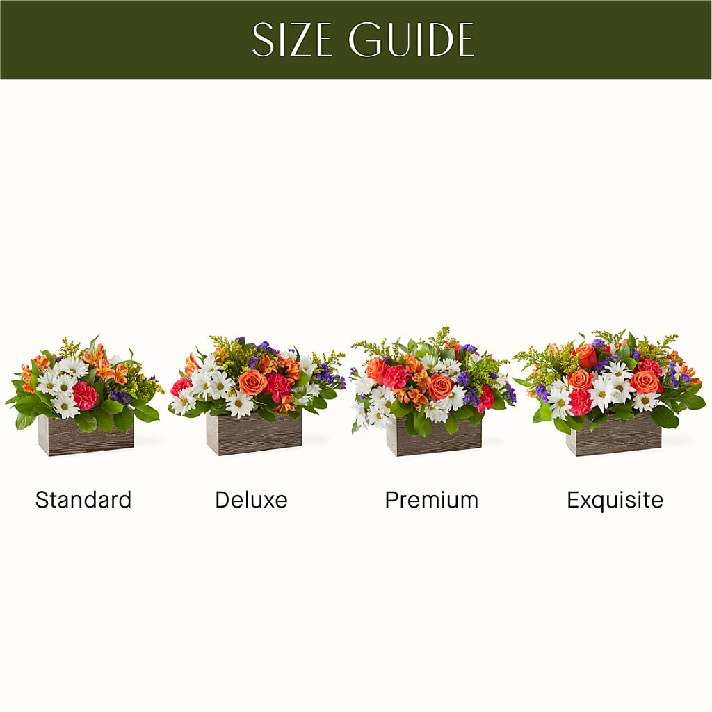 Oopsie Daisy Box Bouquet –  Albertsons, Pleasanton CA
