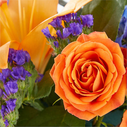 Radiant Citrus Box Bouquet –  Albertsons, Pleasanton CA