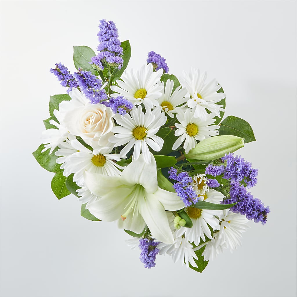 Beyond Blue Box Bouquet –  Albertsons, Pleasanton CA