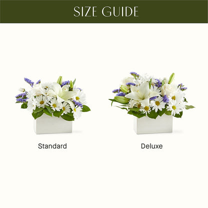 Beyond Blue Box Bouquet –  Albertsons, Pleasanton CA