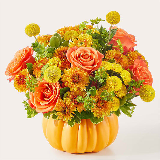 Gourdgeous Pumpkin –  Albertsons, Pleasanton CA