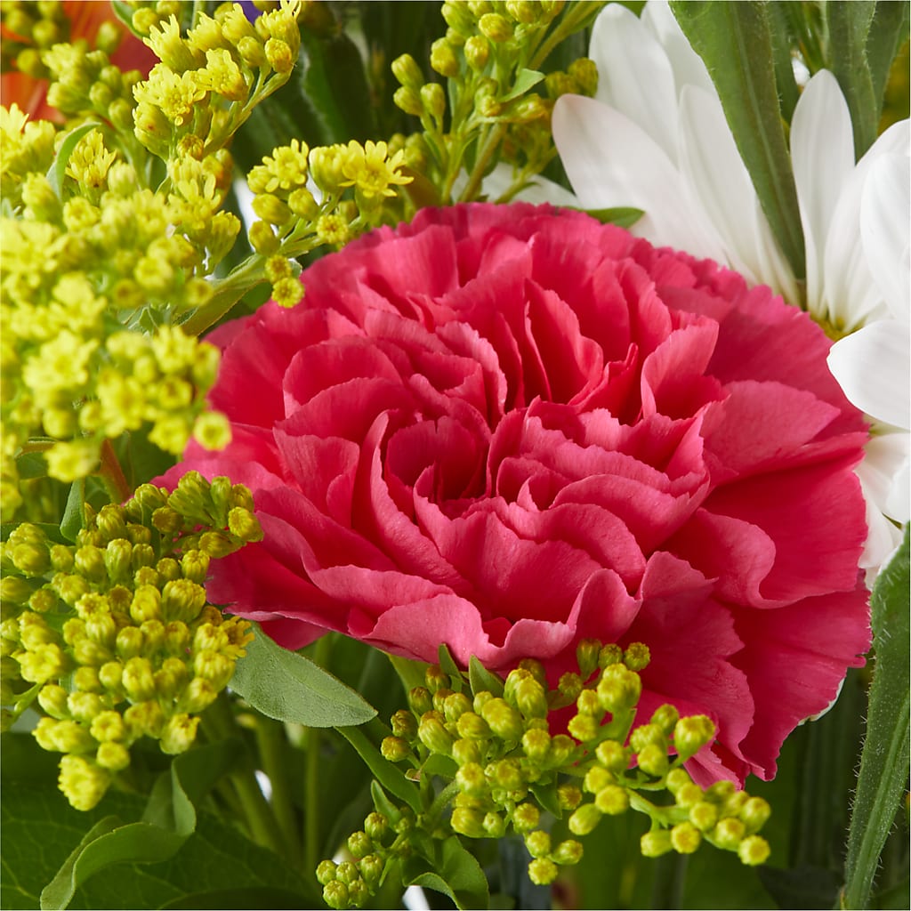 Oopsie Daisy Bouquet –  Albertsons, Pleasanton CA