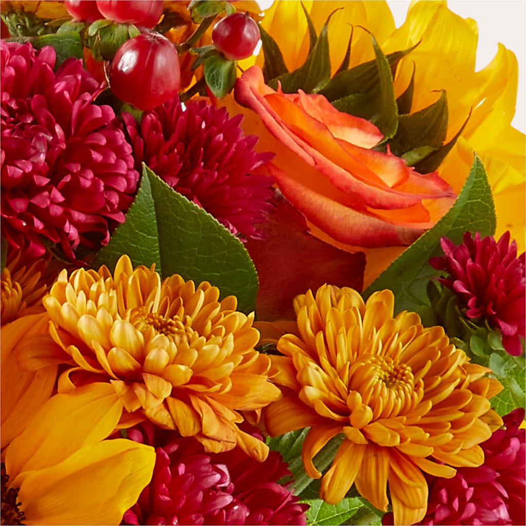 Sweater Season - A Florist Original –  Albertsons, Pleasanton CA