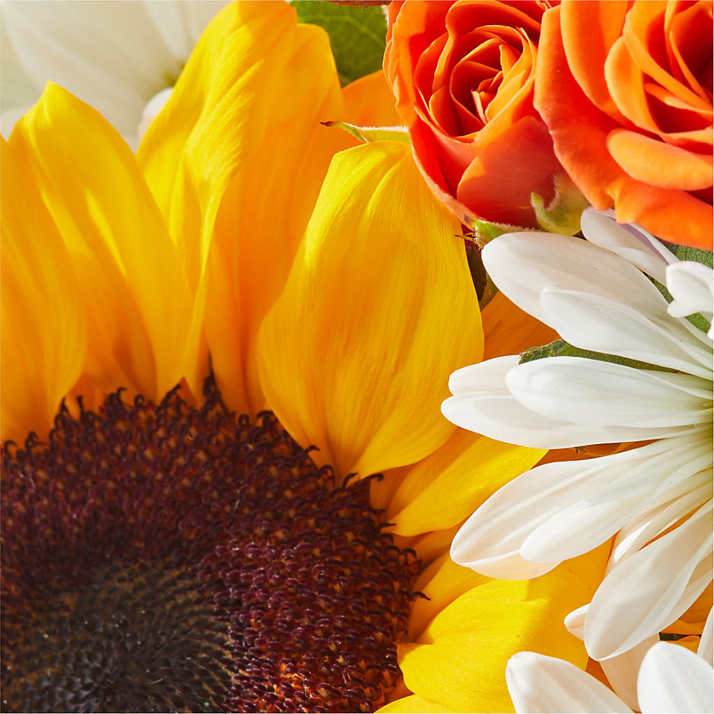 Sun-drenched Blooms Box Bouquet –  Albertsons, Pleasanton CA