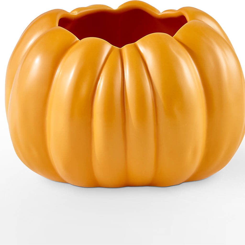 Pick of the Patch Pumpkin Bouquet –  Albertsons, Pleasanton CA