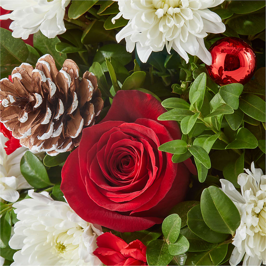 Let It Snow Tree –  Albertsons, Pleasanton CA