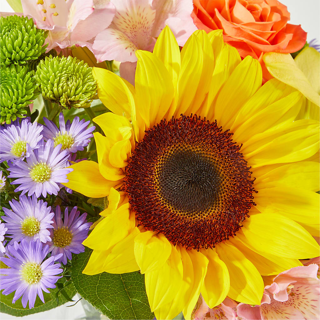 Basking in the Glow Bouquet –  Albertsons, Pleasanton CA
