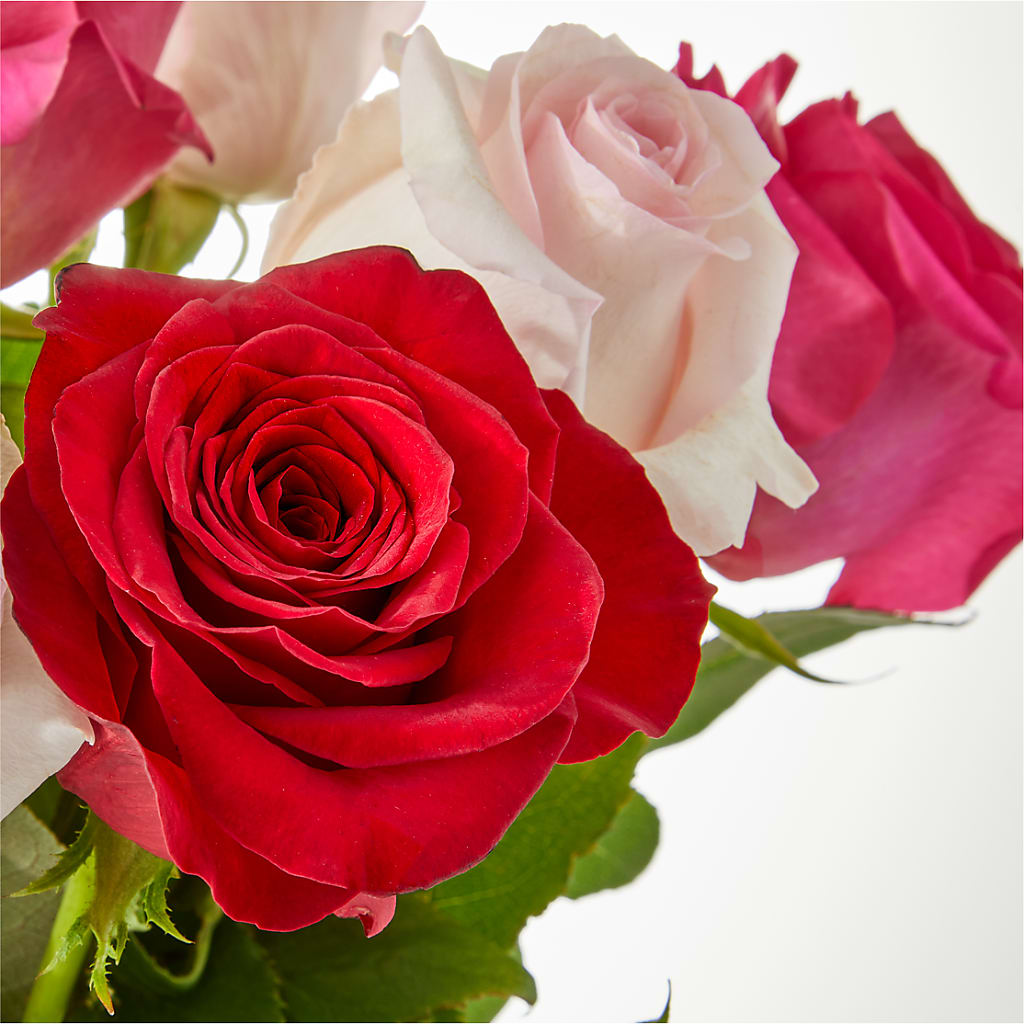 Charming Rose Bouquet –  Albertsons, Pleasanton CA