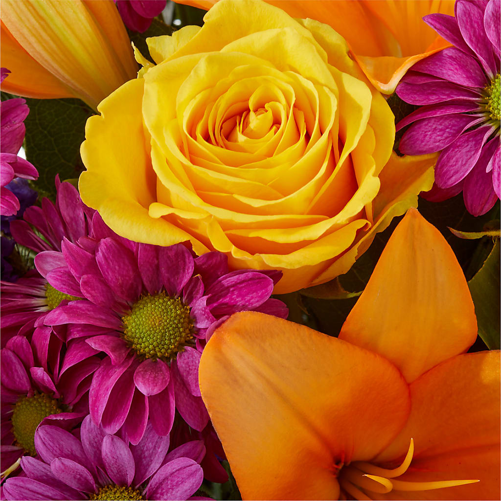 Colorful Visions Bouquet –  Albertsons, Pleasanton CA