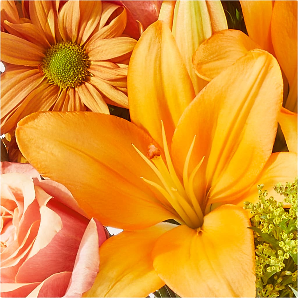 Harvest Hayride Bouquet –  Albertsons, Pleasanton CA