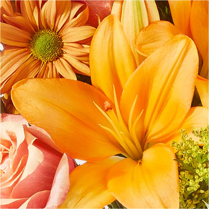 Harvest Hayride Bouquet –  Albertsons, Pleasanton CA