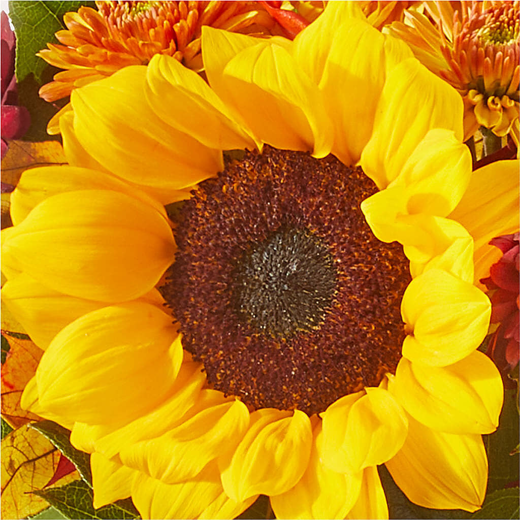 Sunny Side Bouquet –  Albertsons, Pleasanton CA