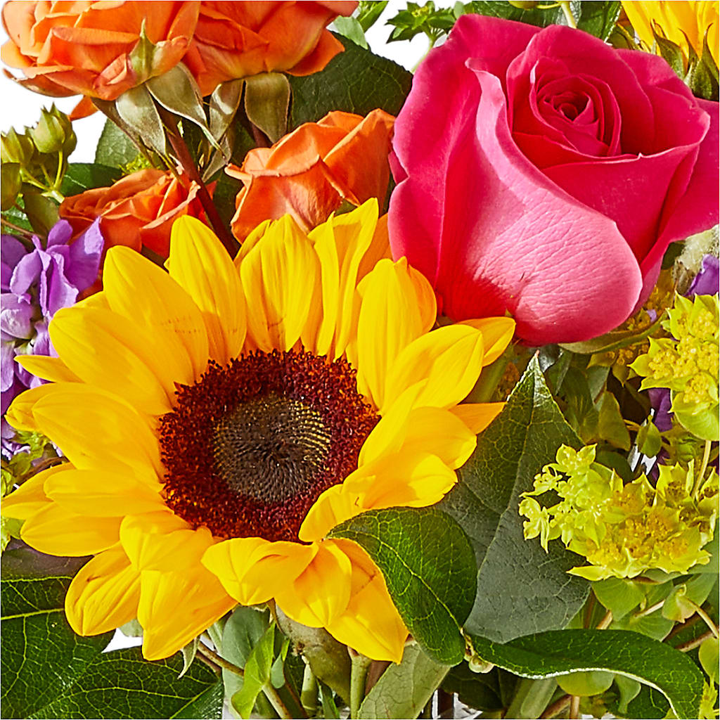 Vibrant Greetings Bouquet –  Albertsons, Pleasanton CA