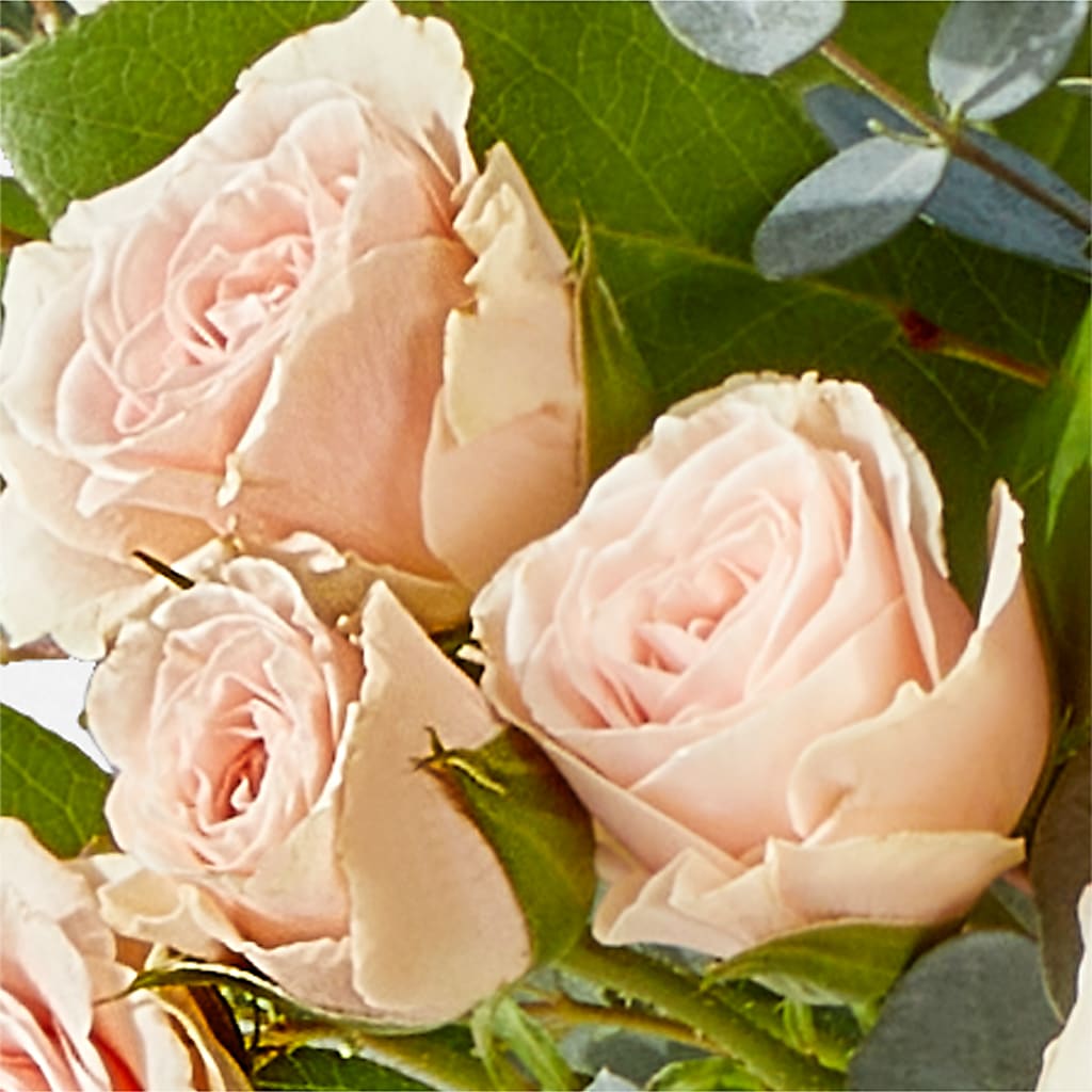 Inspired Bouquet –  Albertsons, Pleasanton CA