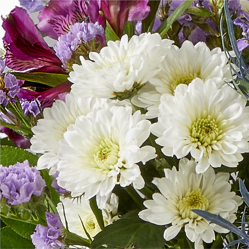 Shooting Star Bouquet –  Albertsons, Pleasanton CA