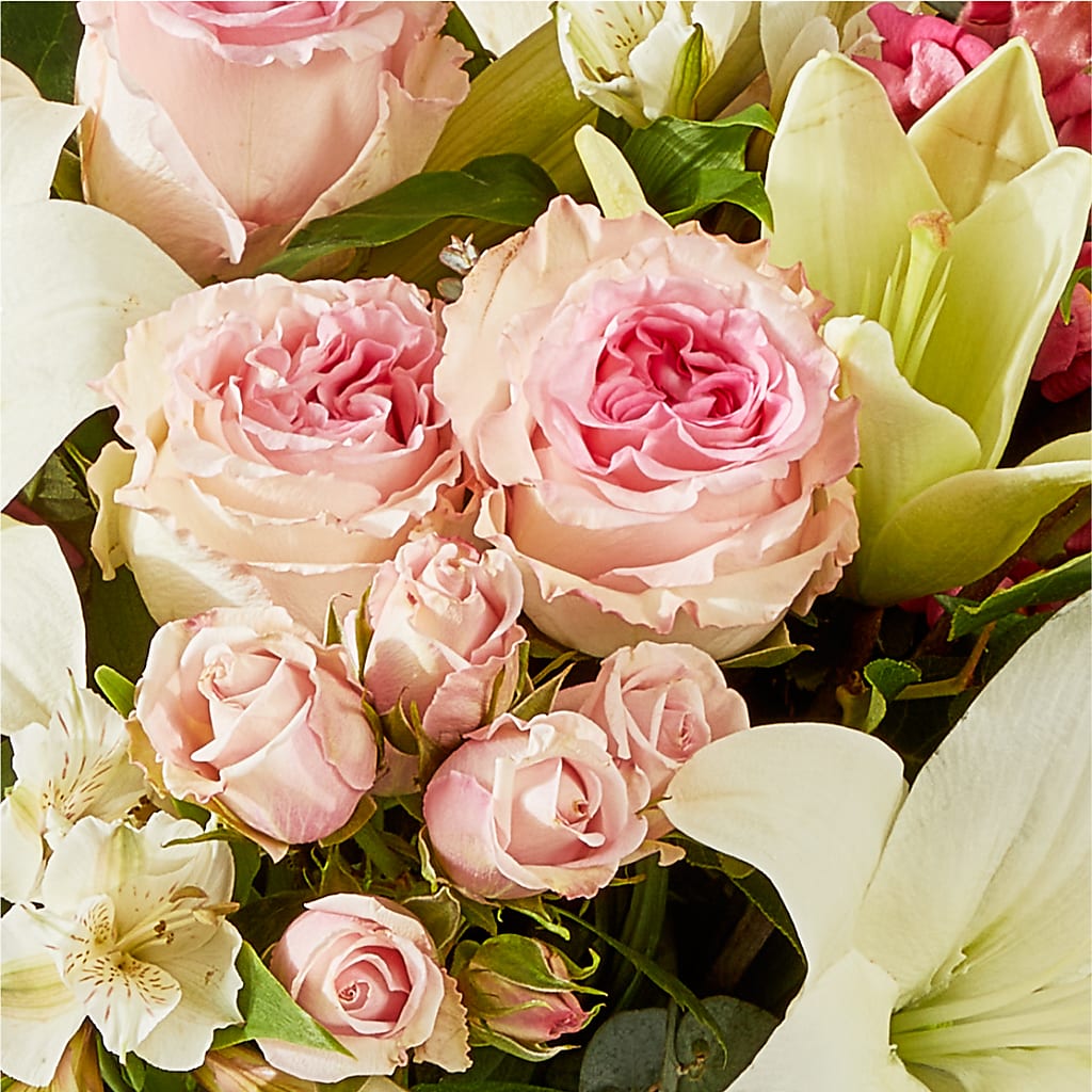 Ballet Slippers Bouquet –  Albertsons, Pleasanton CA
