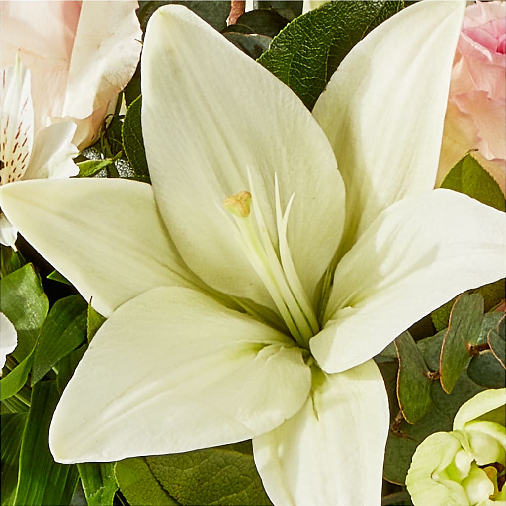 Ballet Slippers Bouquet –  Albertsons, Pleasanton CA
