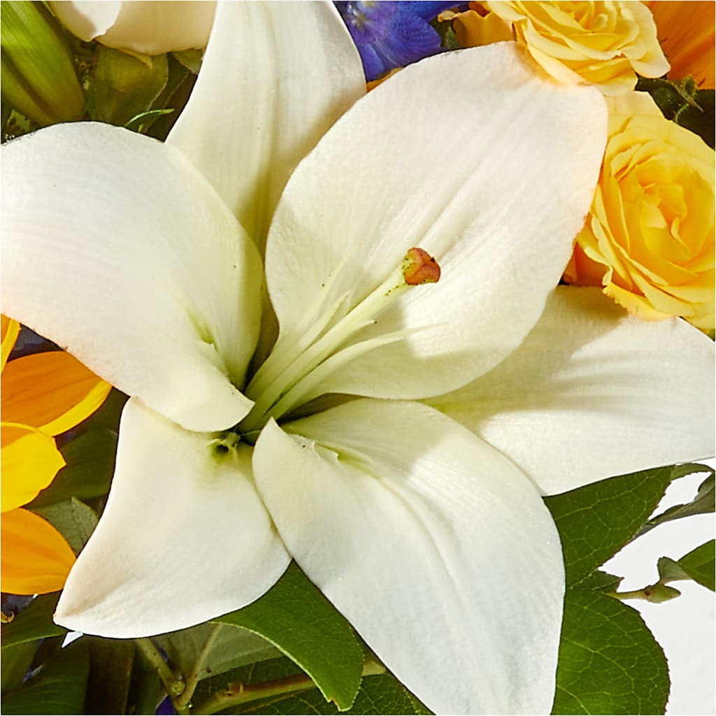 Wonderfully Sunny Bouquet –  Albertsons, Pleasanton CA