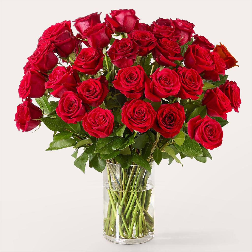 The One Red Rose Bouquet –  Albertsons, Pleasanton CA