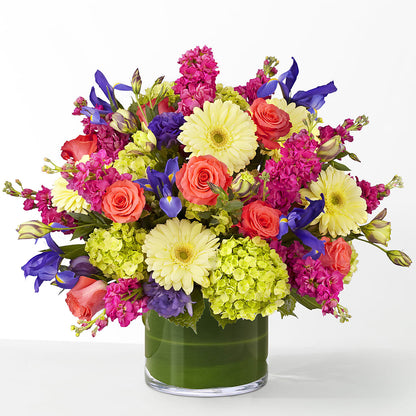 The Couture –  Albertsons, Pleasanton CA