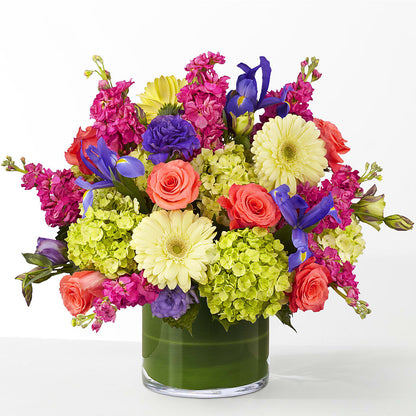 The Couture –  Albertsons, Pleasanton CA