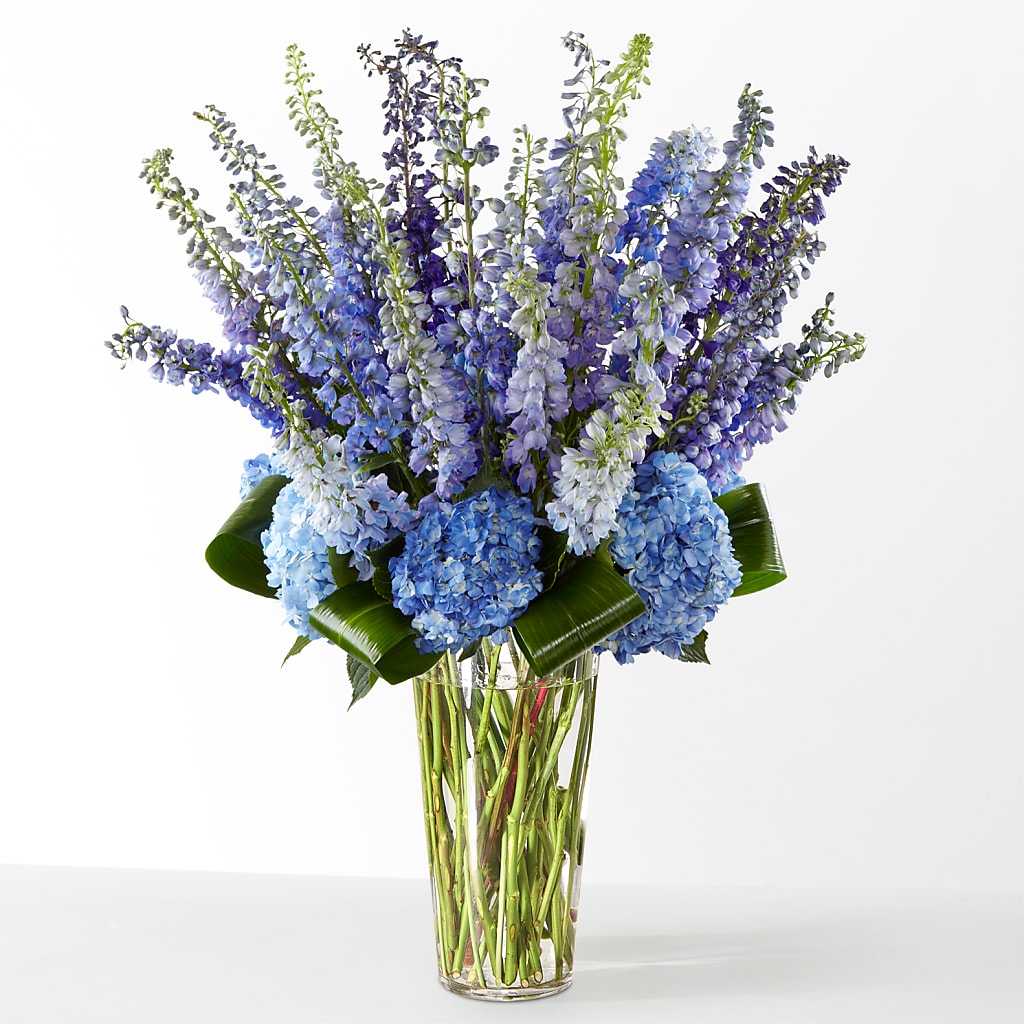 The Editorial –  Albertsons, Pleasanton CA